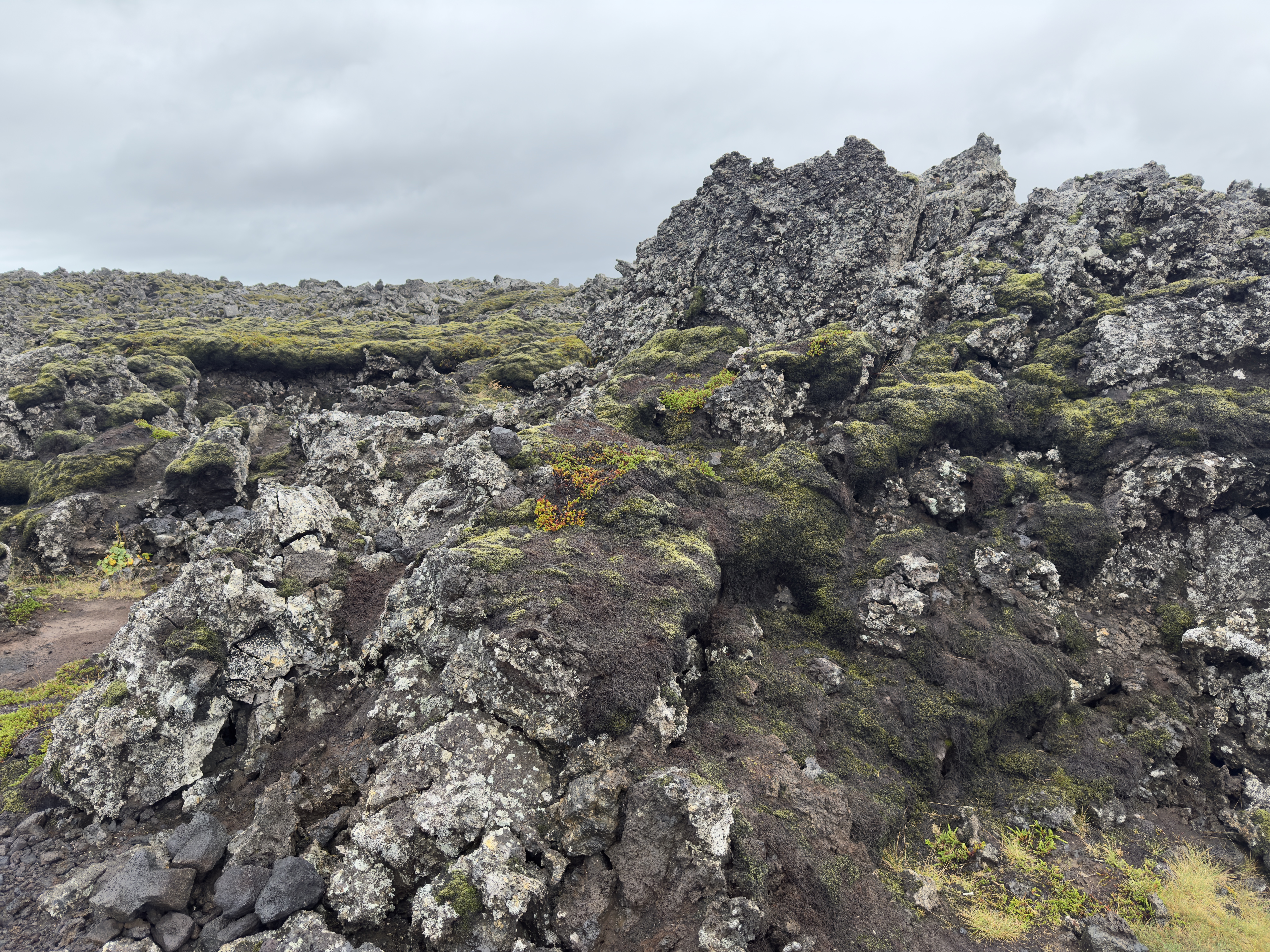 Mossy lava field formations stretching across the Icelandic landscape