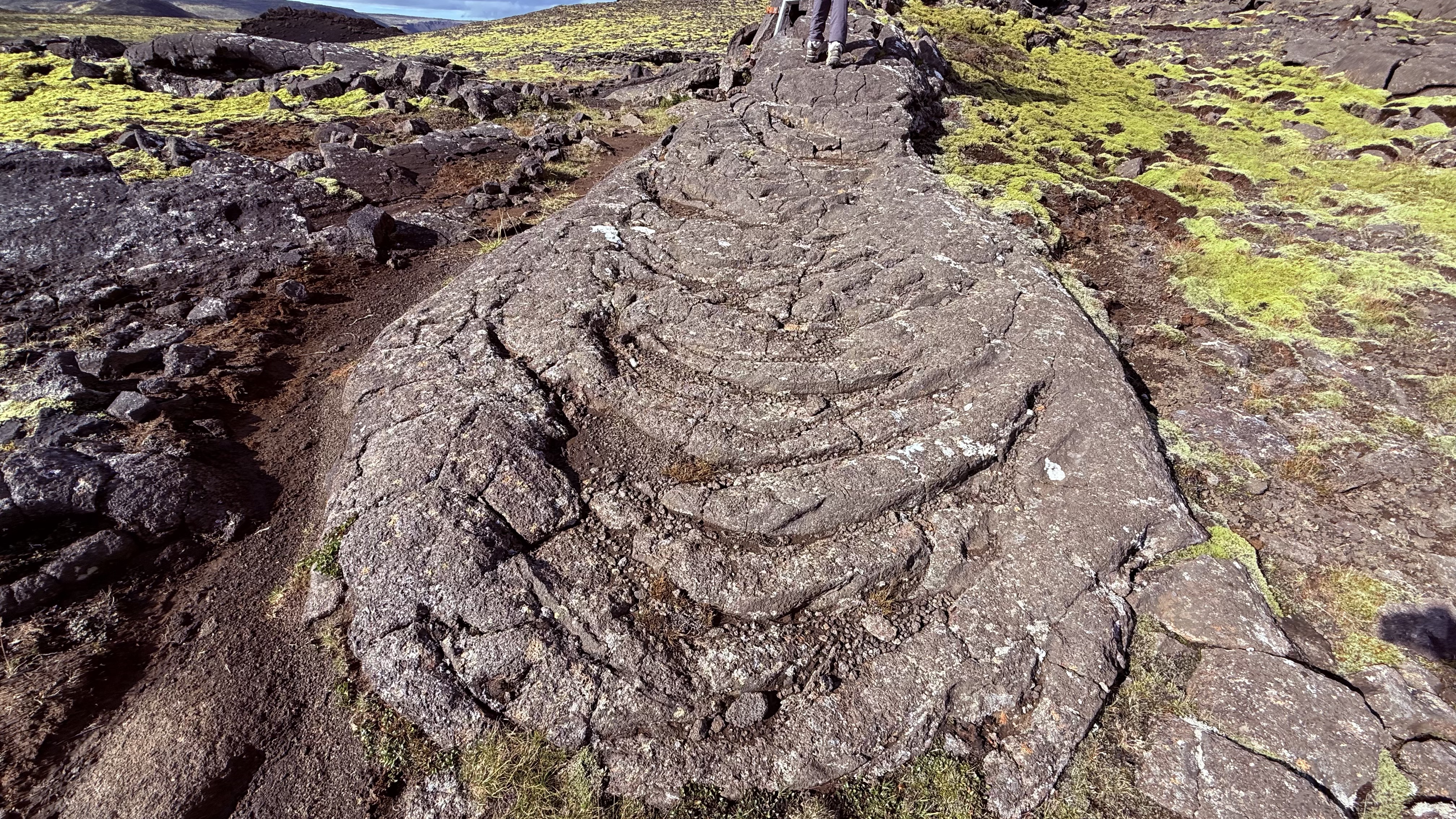 Rope lava formations along the hiking trail