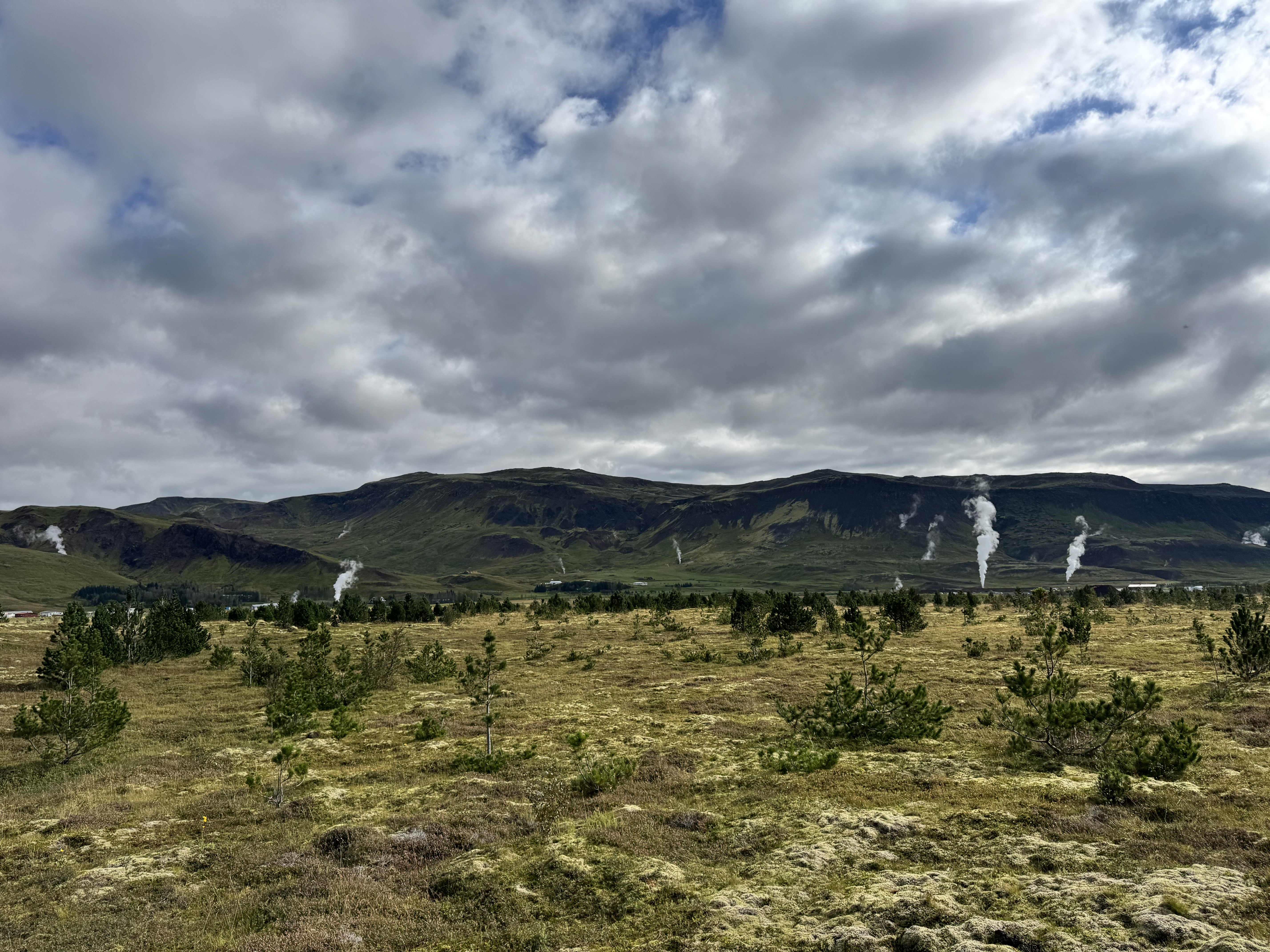 Geothermal steam rising in the Reykjadalur valley